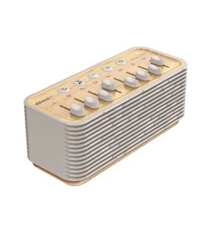 اسپیکر و صدای سفید EZVALO مدل SM2L-B